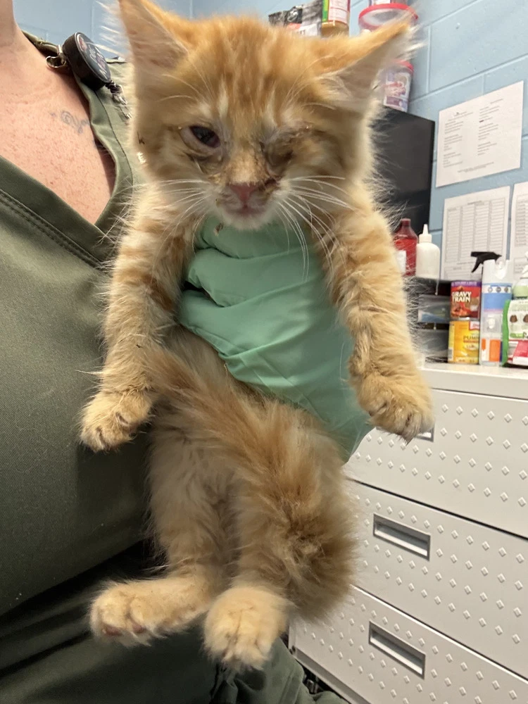 Philbert