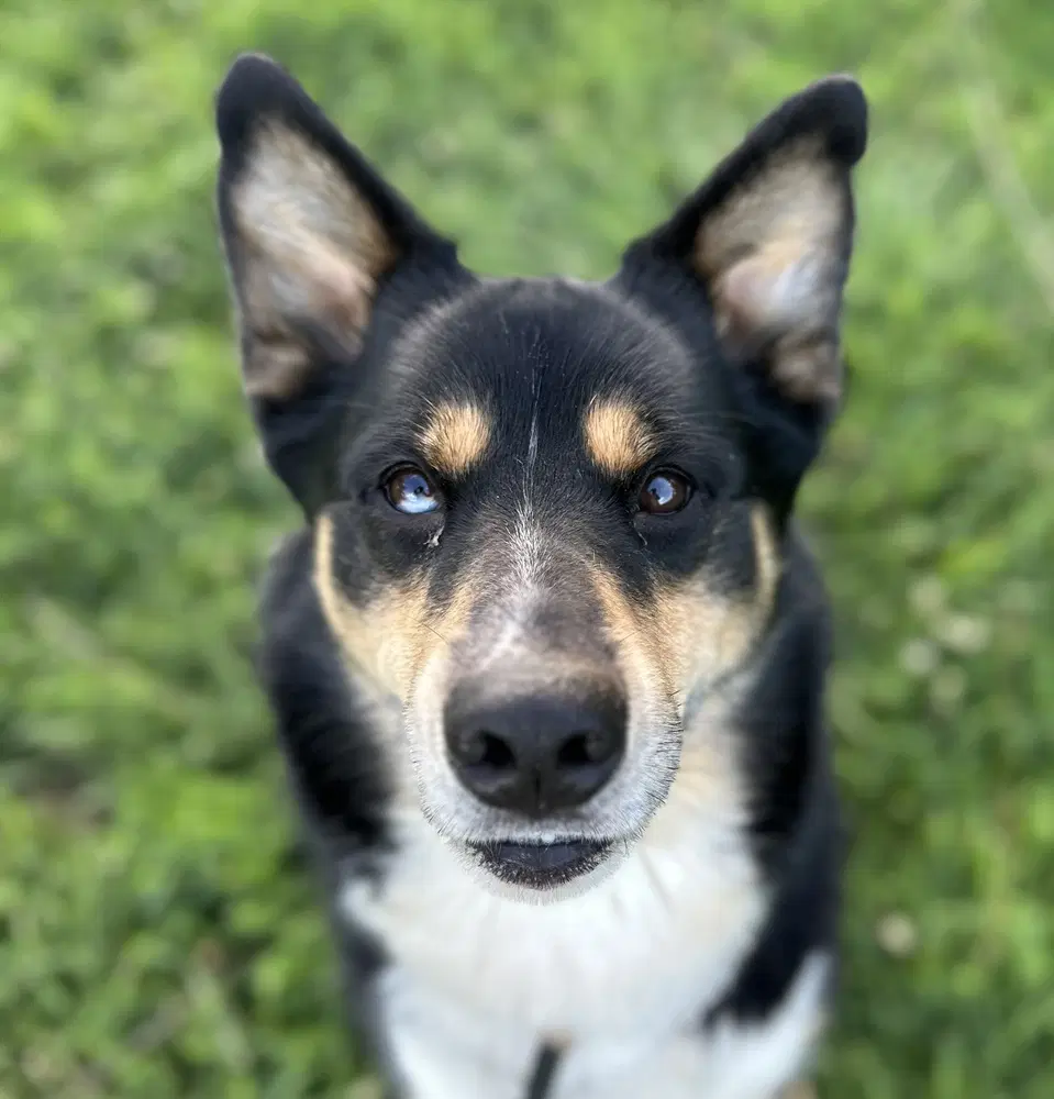 Luca image 2