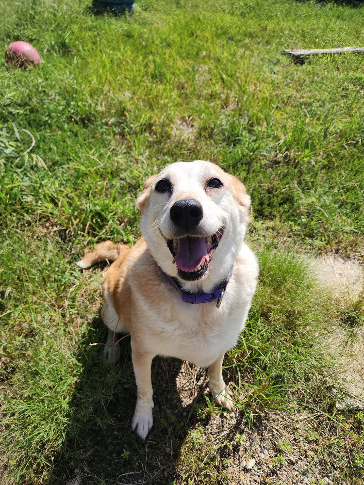 Mavis, photo 2