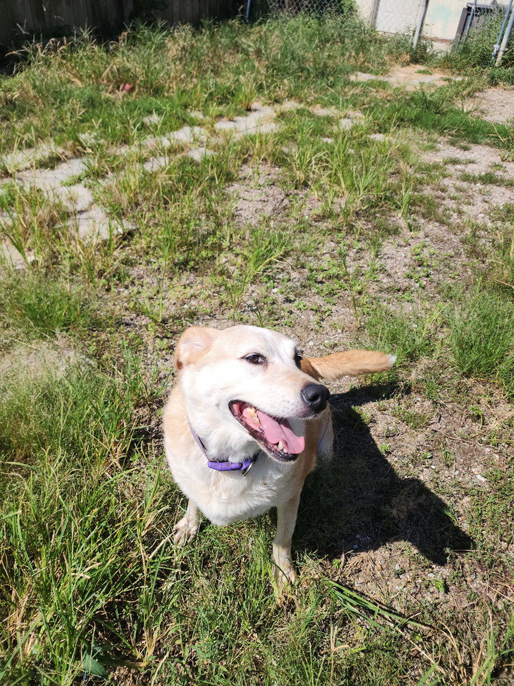 Mavis, photo 4