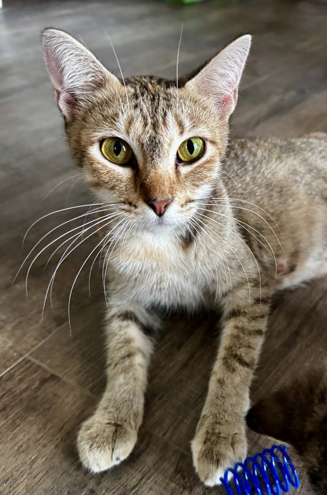 Luna