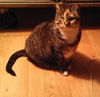 Tia- New Pics!