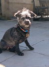 Roxy