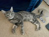 Baby* - Photo 5
