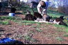 Barn/Outdoor Cats Urgently in Need of New Homes