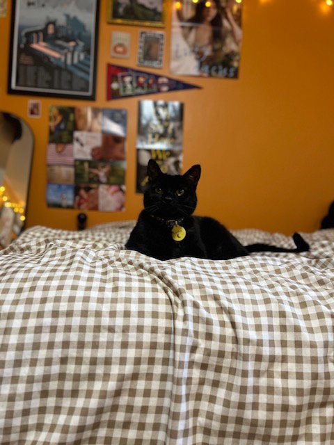 Photo 4 of Luna*