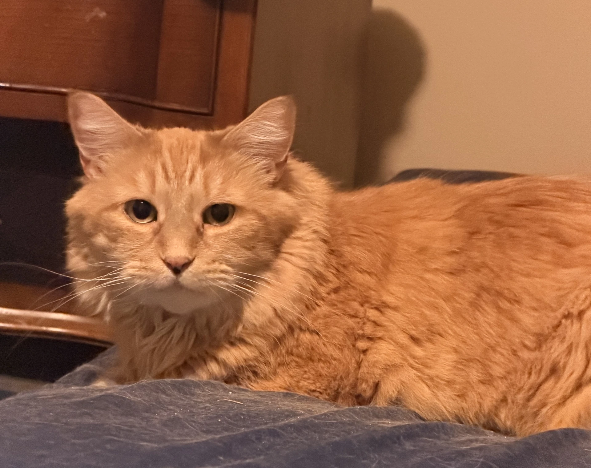 Tigger