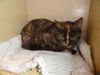 Tessa_New Pics!