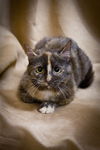 Tessa_New Pics!