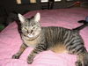 Jake and Connie - adopted!