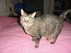 Jake and Connie - adopted!