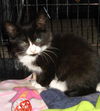 Jake (Adopted!!)