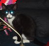 Jake (Adopted!!)