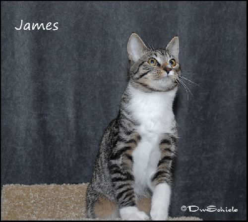 James