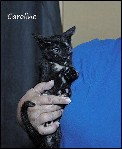 Caroline
