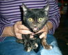 Arielle-Adopted!
