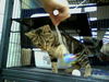 Catherine-Adopted!