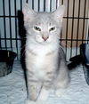 Ellie Mae -Adopted