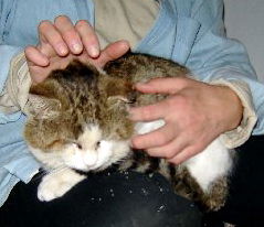 Jack*Adopted!