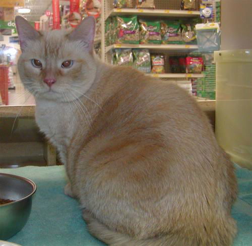 Jelly Belly