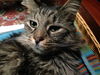 Carl