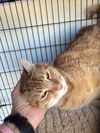 Barry (Adopted!)