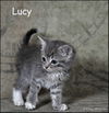 Lucy Loo