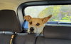 Maverick - Photo 2