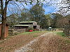 Barn Cat/Mouser - Photo 5