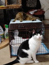 Buster - Photo 3