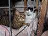 Cash - Photo 5