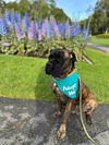 adoptable Dog in Pacifica, CA named Hera(gods)