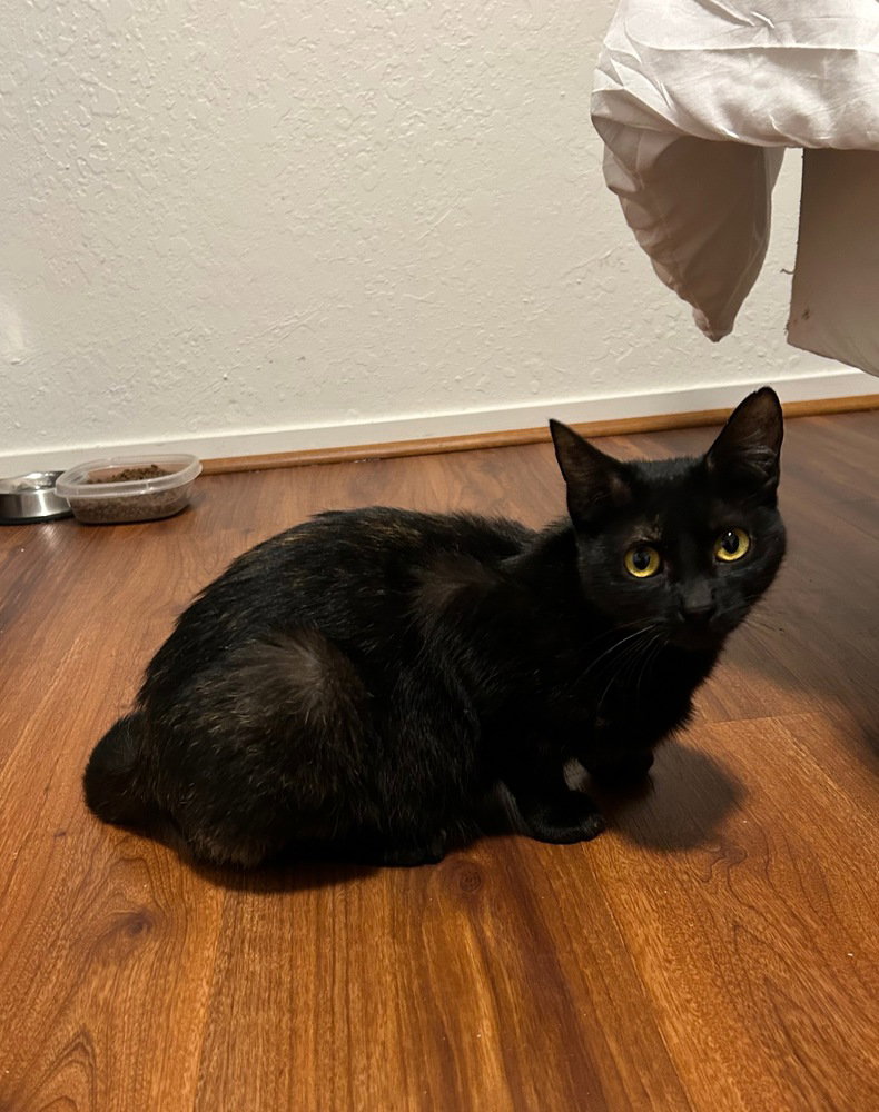 Amber.