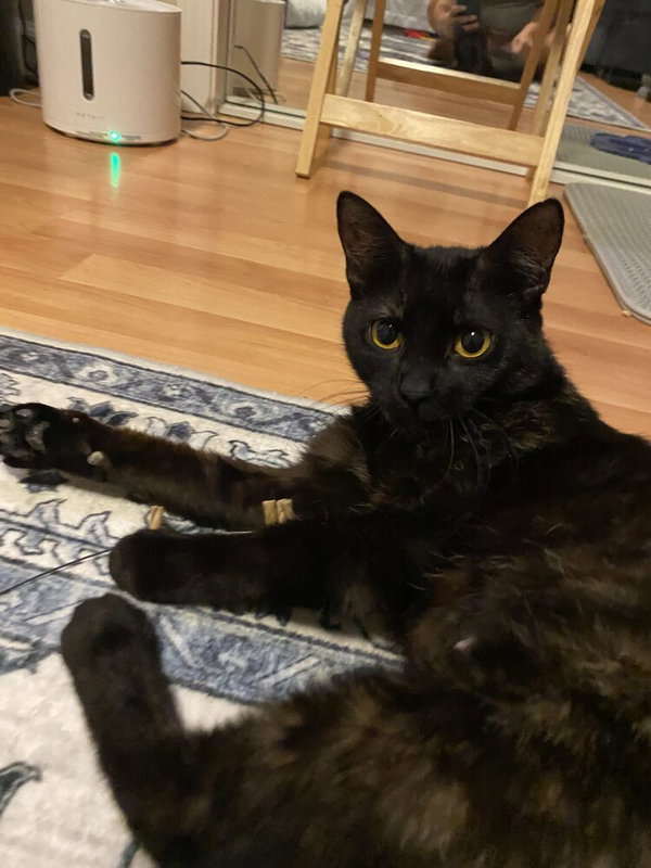 Amber.