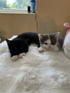 Cloud - Photo 4
