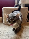 Cinder - Photo 2