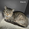 Macie - Photo 4