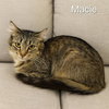 Macie - Photo 1