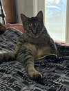 Axel - Photo 2