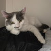 Willow - Photo 4