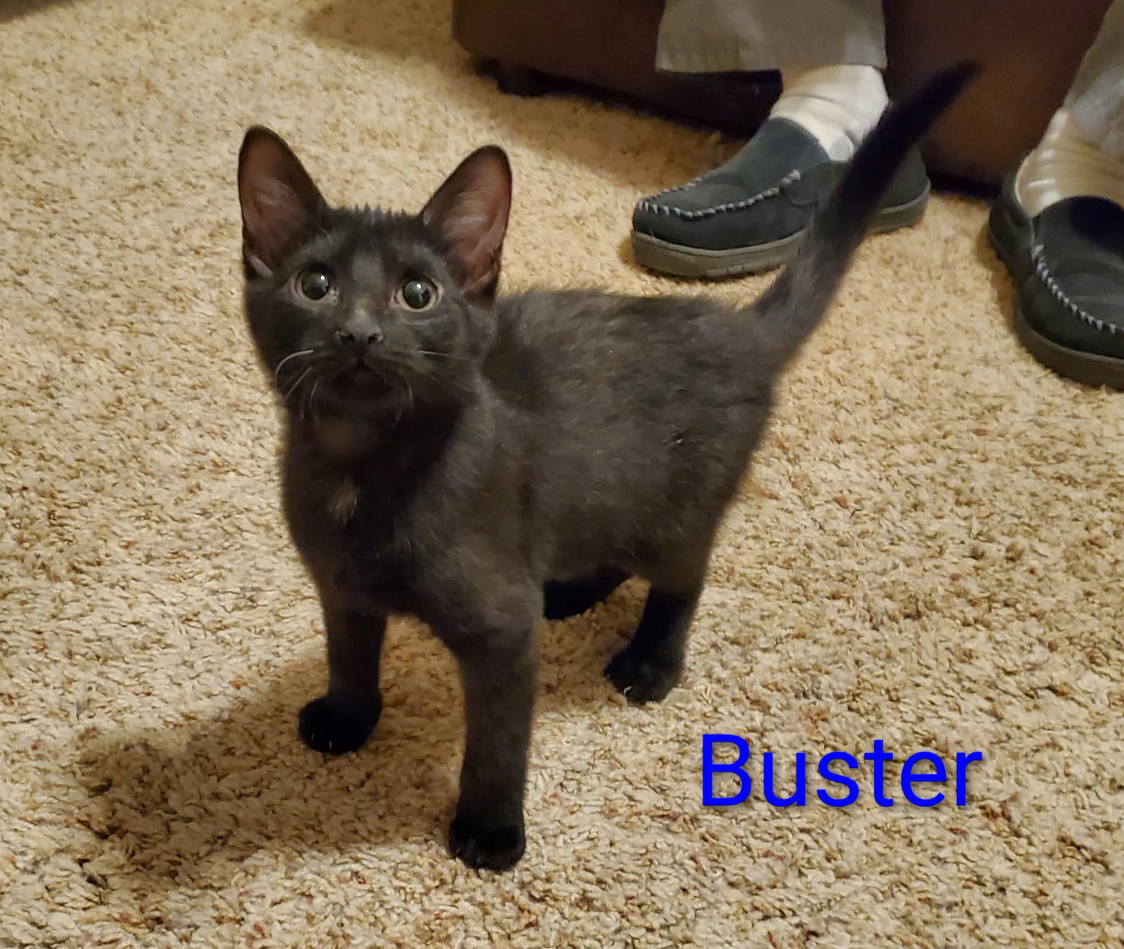 Buster Image
