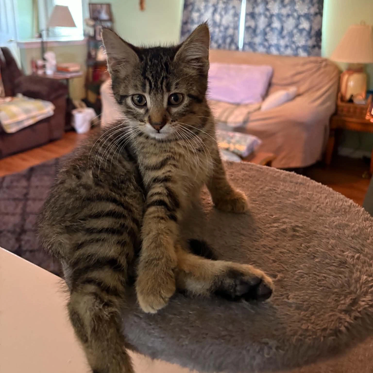 Hermione