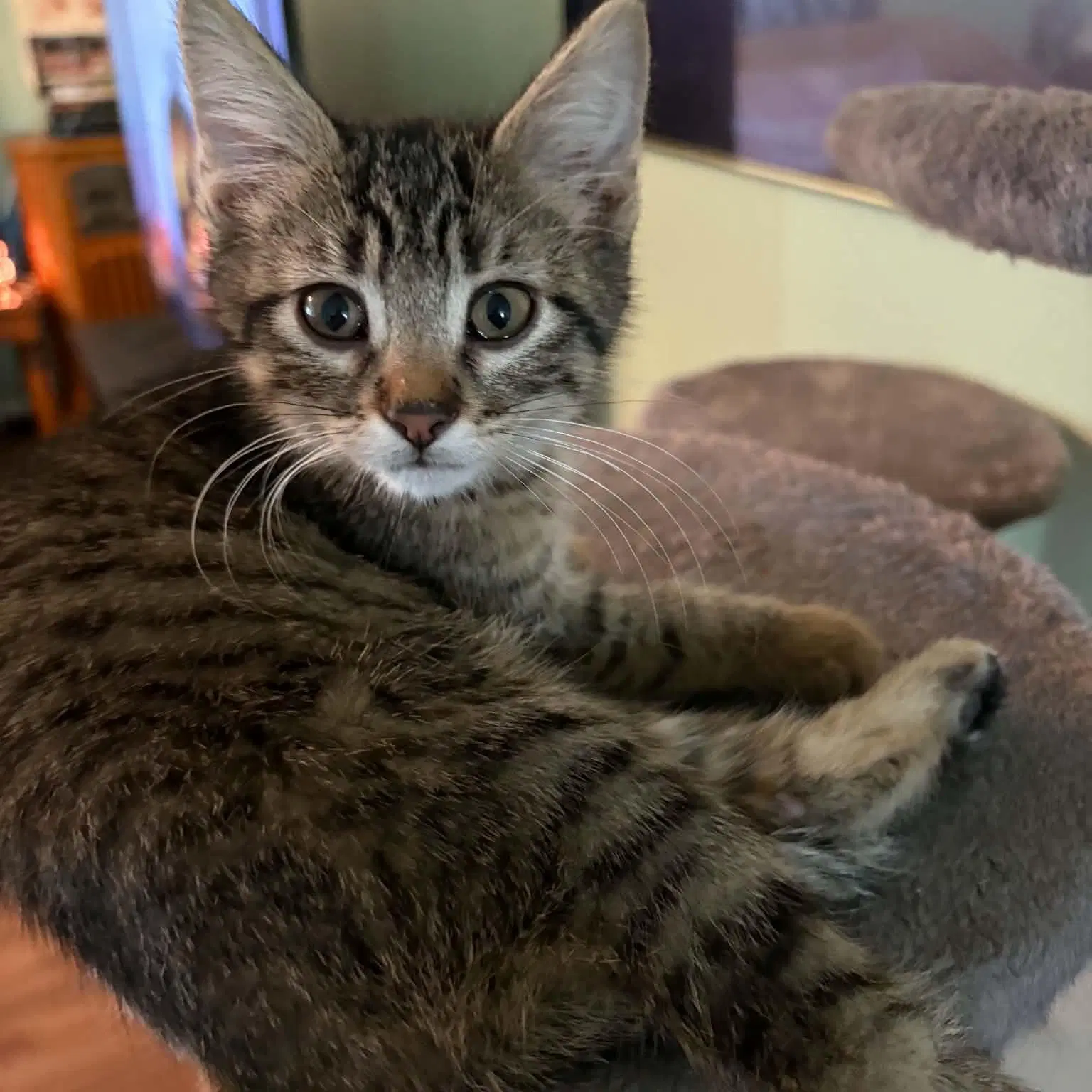 Hermione image 2