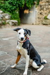 Gail - Photo 4