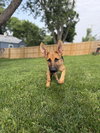 Nora - Photo 2