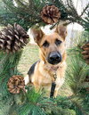 Nora - Photo 4