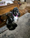 Sparkle - Photo 2