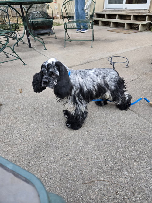 Photo of Sparkle
