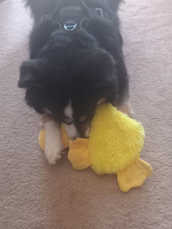 Mia