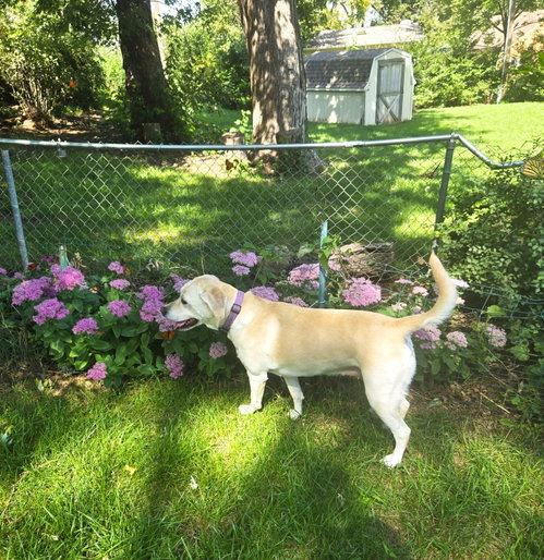 Photo 2 of Betty
